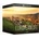 BOOM Library European Life Stereo Amp Surround