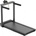 KingSmith WalkingPad MX16+