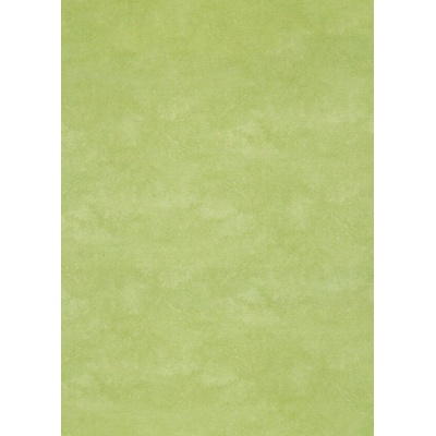 Breno Xtreme Roxanne 550M zelené 200 cm 1 m² – Zbozi.Blesk.cz
