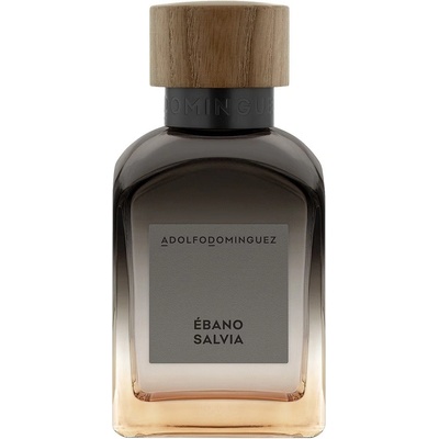 Adolfo Dominguez Ebano Salvia parfémovaná voda pánská 120 ml