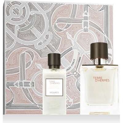 Hermès Terre d´Hermès Подаръчен комплект EDT 50 ml + душ гел 40 ml