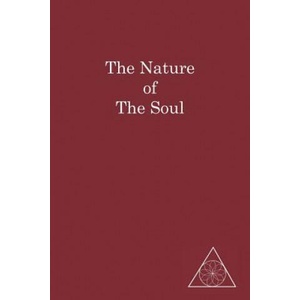 The Nature of the Soul | Lucille Cedercrans (ISBN: 9781883493387)