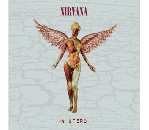 IN UTERO