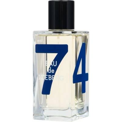 Iceberg Eau de Cedar Homme toaletná voda pánska 100 ml