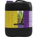 ATAMI B’cuzz 1-Component Soil 10L