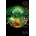 Orbus