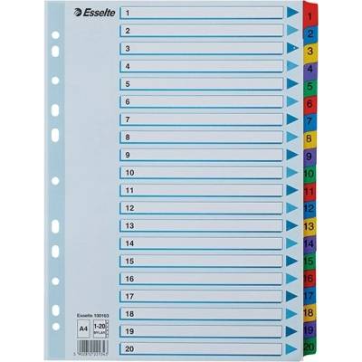 Register ESSELTE Mylar A/4 laminovaný kartón 1–20 100163