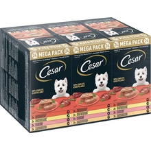 Cesar Adult Dog Klassik Terrine 48 x 150 g