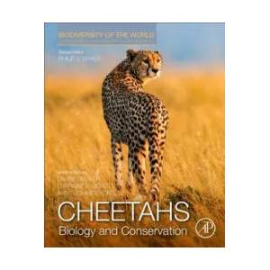 Cheetahs: Biology and Conservation | Philip J. Nyhus (ISBN: 9780128040881)