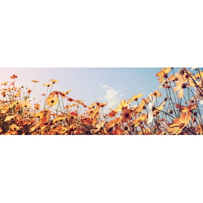 Dimex KI180-123 Fototapeta do kuchyně Spring Meadow rozměry 180 x 60 cm