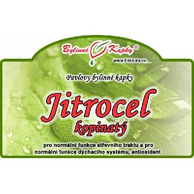 JITROCEL KOPINATÝ kapky (tinktura) 50ml | Bylinné kapky