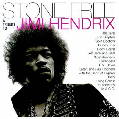 VARIOUS ARTISTS - RSD - STONE FREE - JIMI HENDRIX TRIBUTE LP