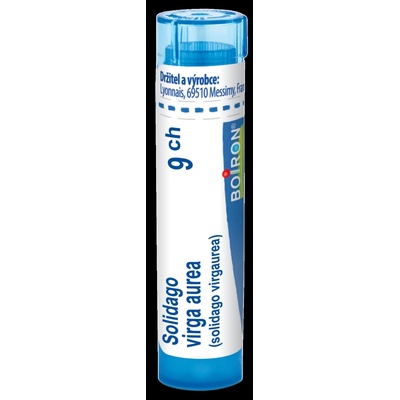 SOLIDAGO VIRGA AUREA POR 9CH GRA 4G