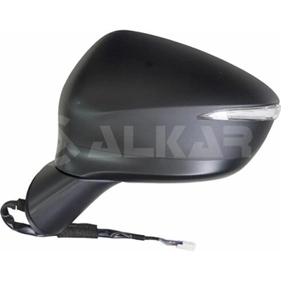 Vonkajšie zrkadlo POLCAR 45X1518E