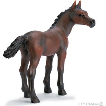 Schleich Arabské hříbě