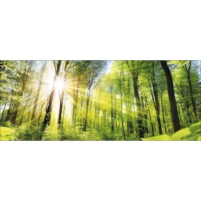 Sklenený obraz Towards The Sun 50x125 cm
