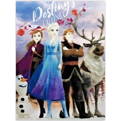 Setino Dievčenská fleecová deka Ľadové kráľovstvo Frozen