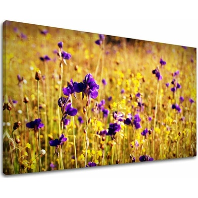 Obraz na stenu KVETY - 20x30
