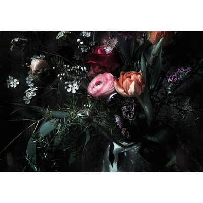 KOMAR 8-999 Papírové fototapety Still Life rozměr 368 cm x 254 cm