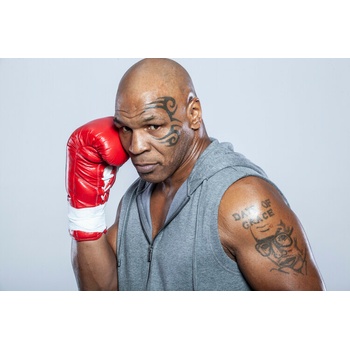 Fotografia Mike Tyson Portrait Session 2015, Aaron Rapoport, 40 × 26.7 cm