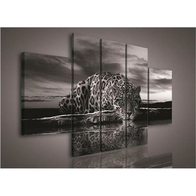 Obraz na plátně Jaguár zelené oči 171S1, rozměr 170 x 100 cm, IMPOL TRADE