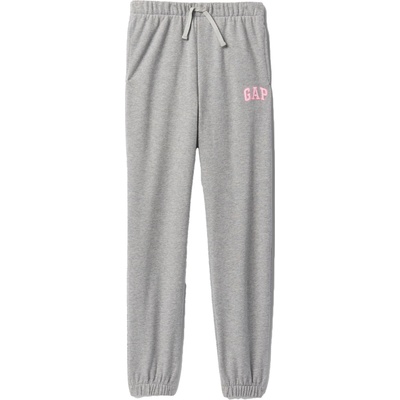 GAP V-frch logo xl