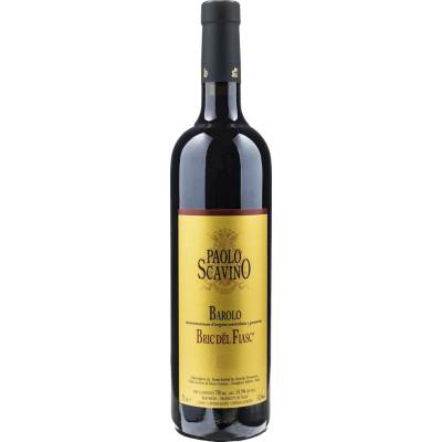 Paolo Scavino Barolo Bric del Fiasc 2020 Červené 14.6% 0,75 l (holá láhev)