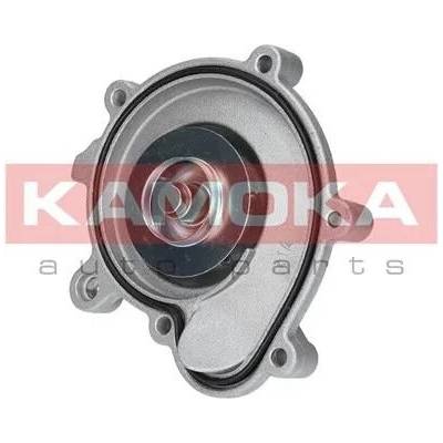 KAM-T0194
