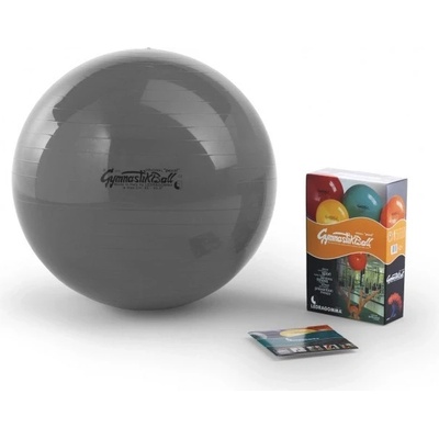 Ledragomma Standard 42cm GymnastikBall