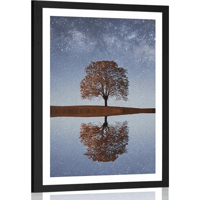 Plakát s paspartou hvězdná obloha nad osamělým stromem - 40x60 no frame