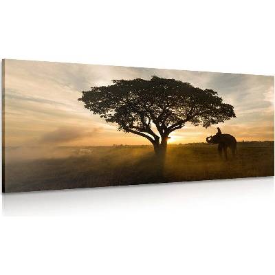 Obraz slon při východu slunce - 120x60