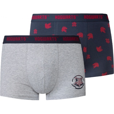 Pánské boxerky 2 kusy šedá / navy modrá – Hledejceny.cz