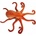 Dubi Octopus 47cm 32461