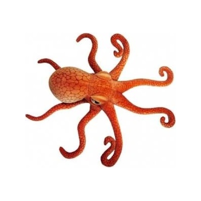 Dubi Octopus 47cm 32461