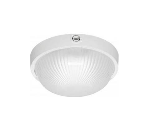 Lena 950520
