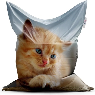 Sablio Sedací vak z vlastní fotografie 150x100 cm