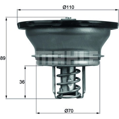 Termostat, chladivo MAHLE THD 3 76