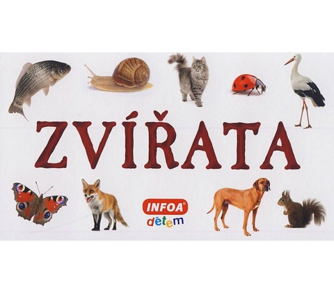 Zvířata