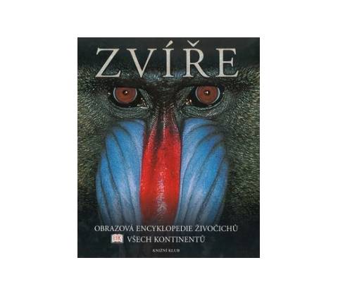 Zvíře