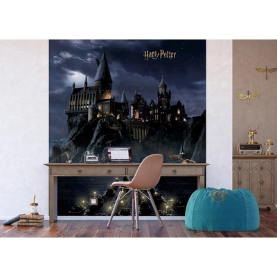 Ag Design FTD3P-5175 Dětská vliesová fototapeta na zed' Harry Potter, rozměry 225 x 270 cm