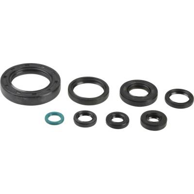 Sada gufer motoru ATHENA P400210400252