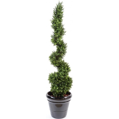 BUXUS NEW SPIRAL FINE, 160cm