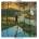 Apifera - Overstand (LP) (659457242817)
