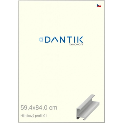 DANTIK rám na obraz 59,4x84 Stříbrná matná