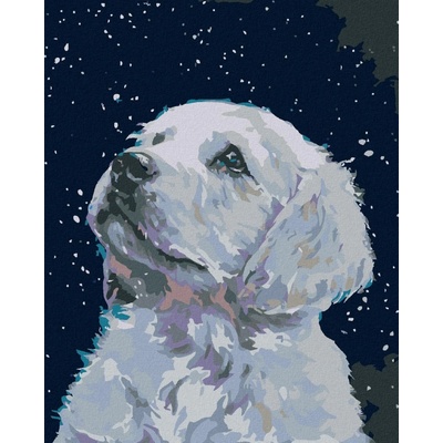 Zuty Malování podle čísel Bílé štěňátko 80 x 100 cm bez rámu a bez vypnutí plátna 8596530006268