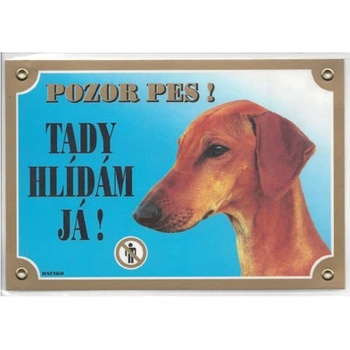 Dafiko Tabulka Azavažský chrt