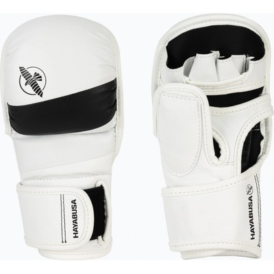 Hayabusa T3 HYBRID
