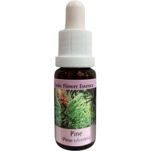 PHI Essences При чувство на вина - Есенция Бор № 24, капки 15 ml (24 CLASSIC)