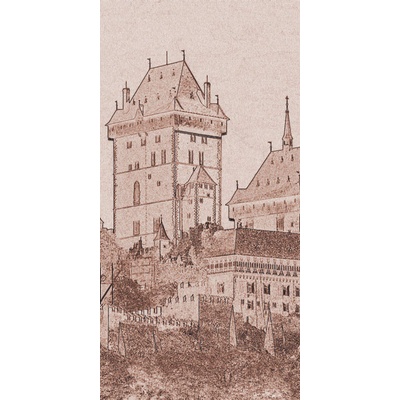 Dimex S-307 vliesová fototapeta na zeď Karlstejn paint brown rozměry 110 x 220 cm