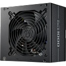 Cooler Master Elite Gold FM 1000W (MPW-A001-AFAG-BEU)